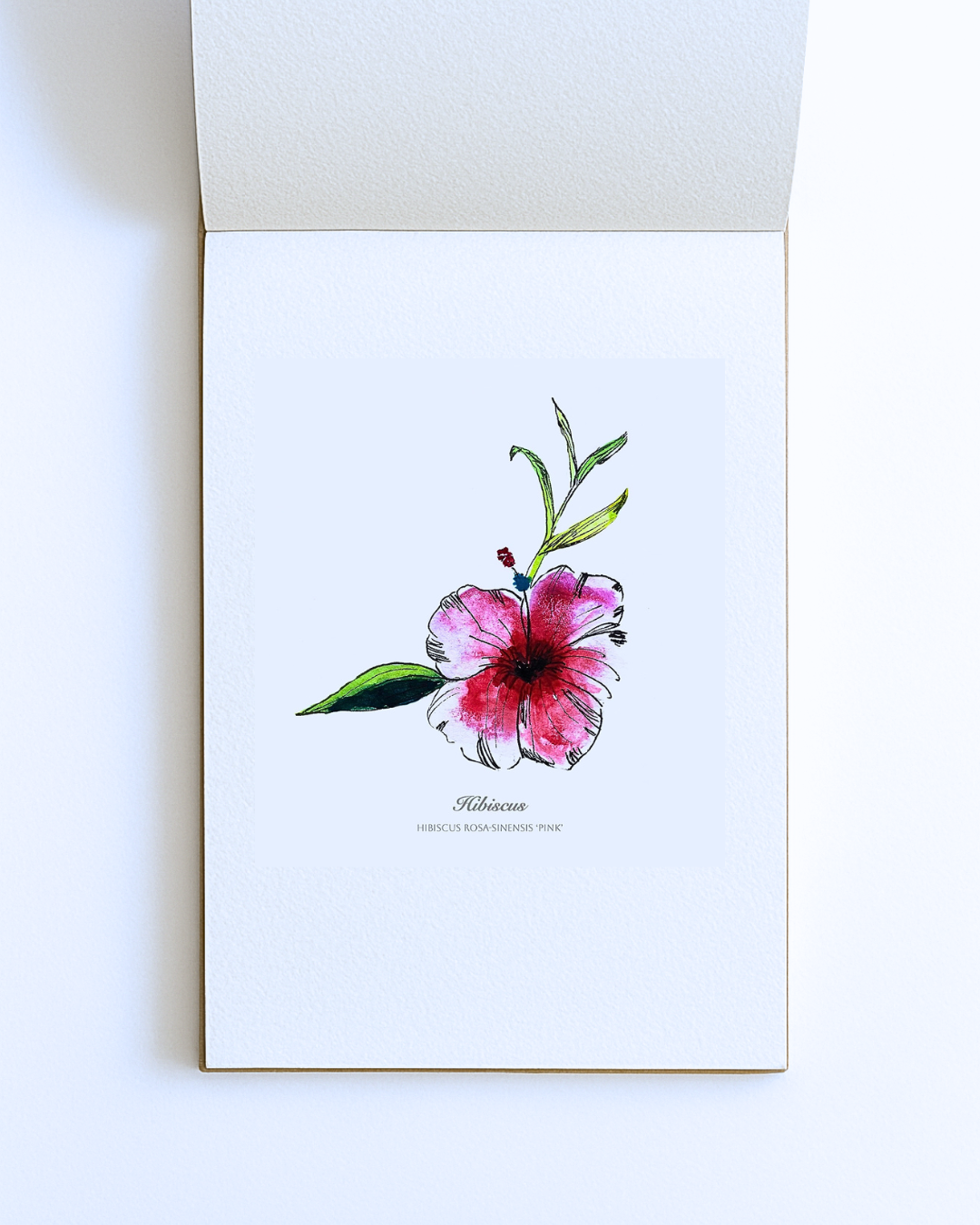 Pink Hiibiscus– Original A5 Print
