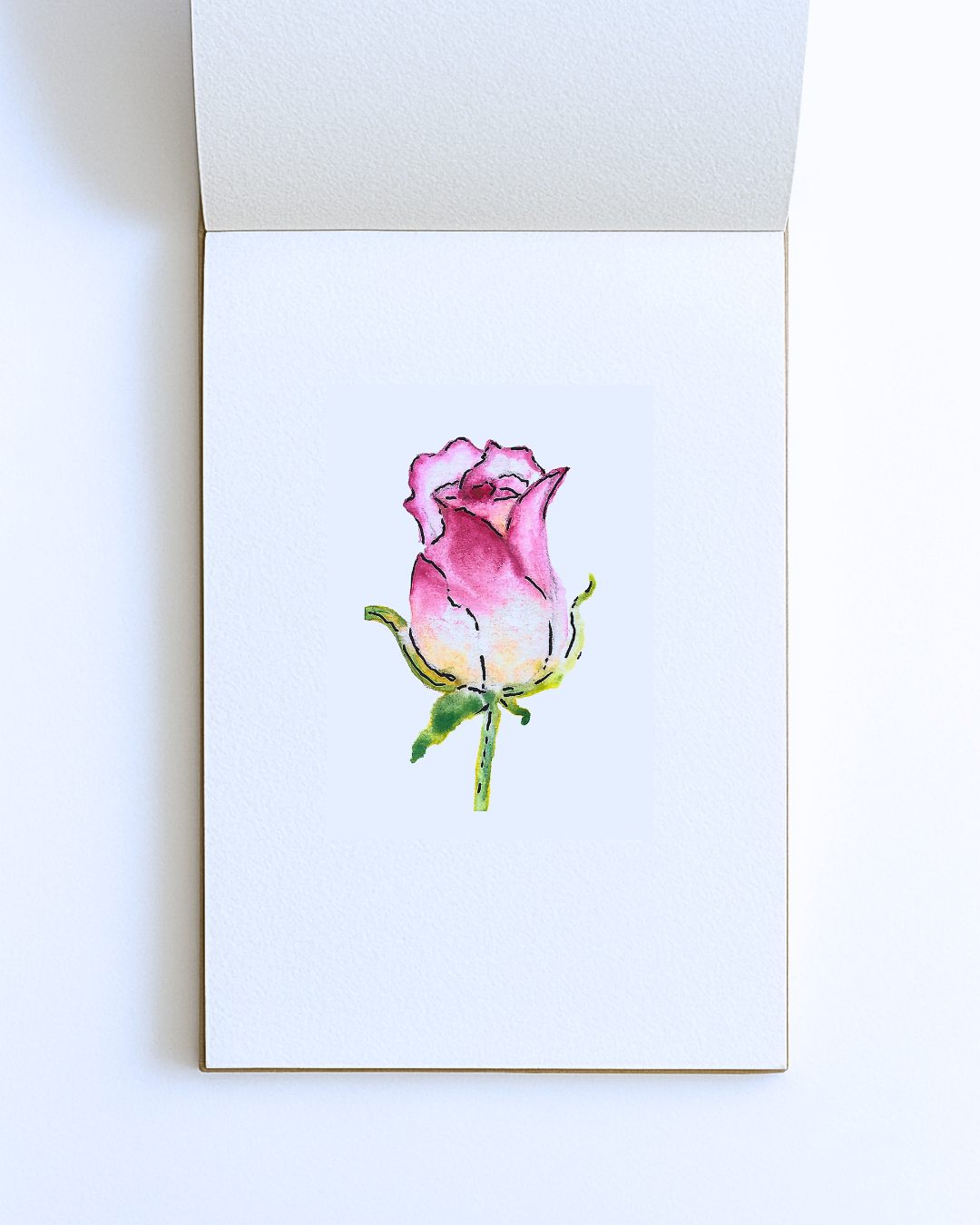 Pink Rosebud Signed Print-A5