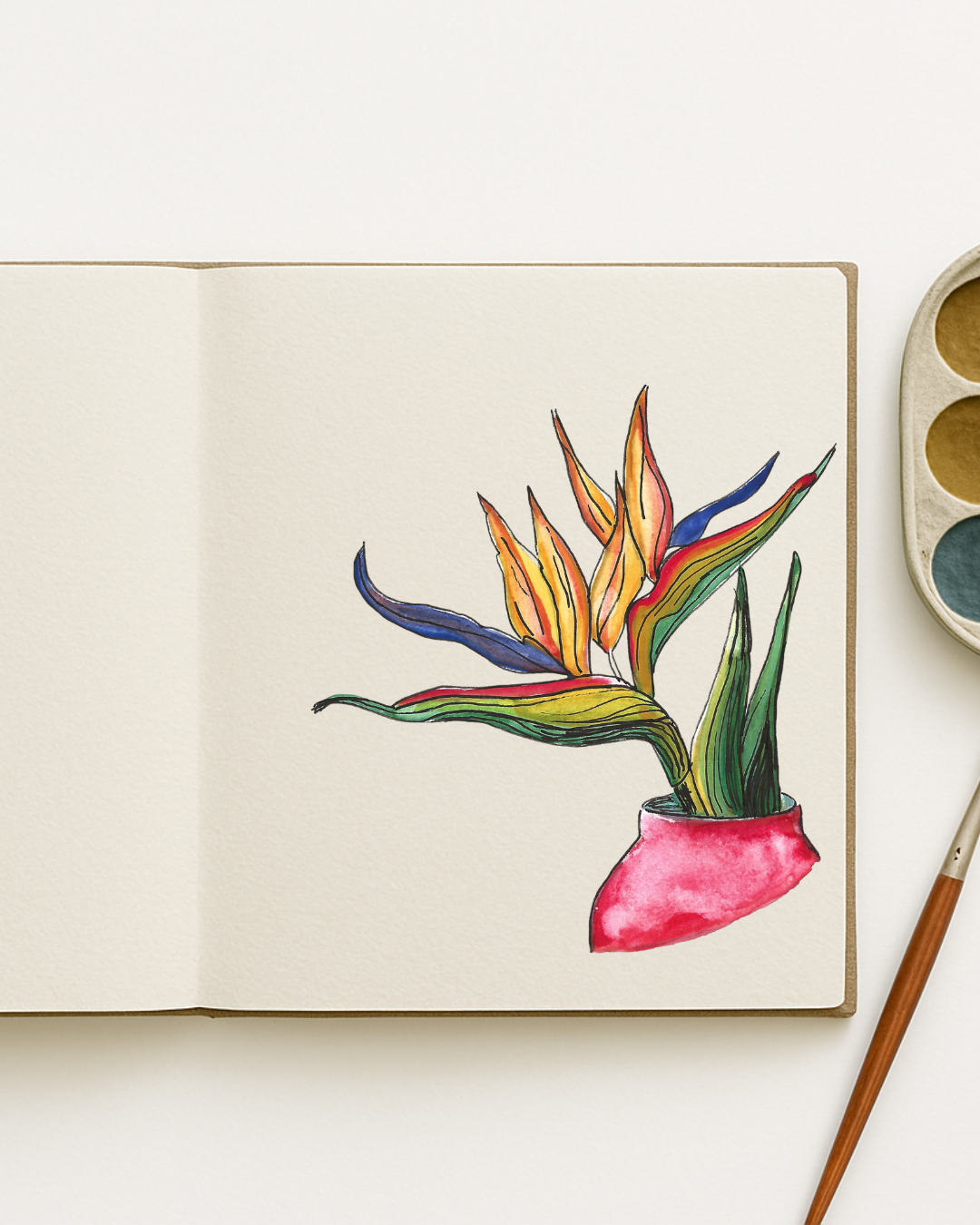 Bird of Paradise – Original A5 Print