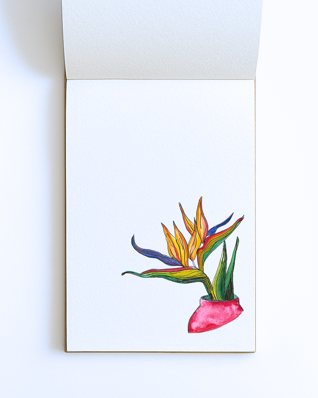 Bird of Paradise – Original A5 Print