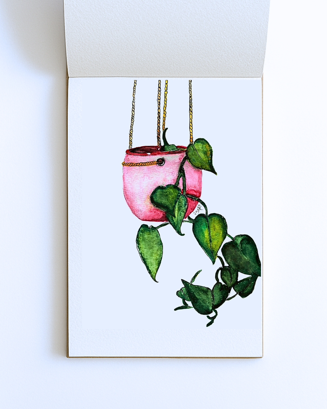 Hanging Heart Plant– Original A5 Print