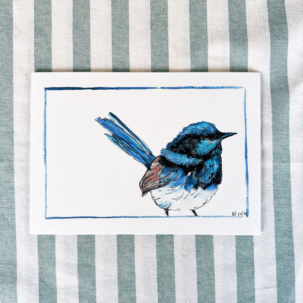 Fairy Wren Signed Print-A5