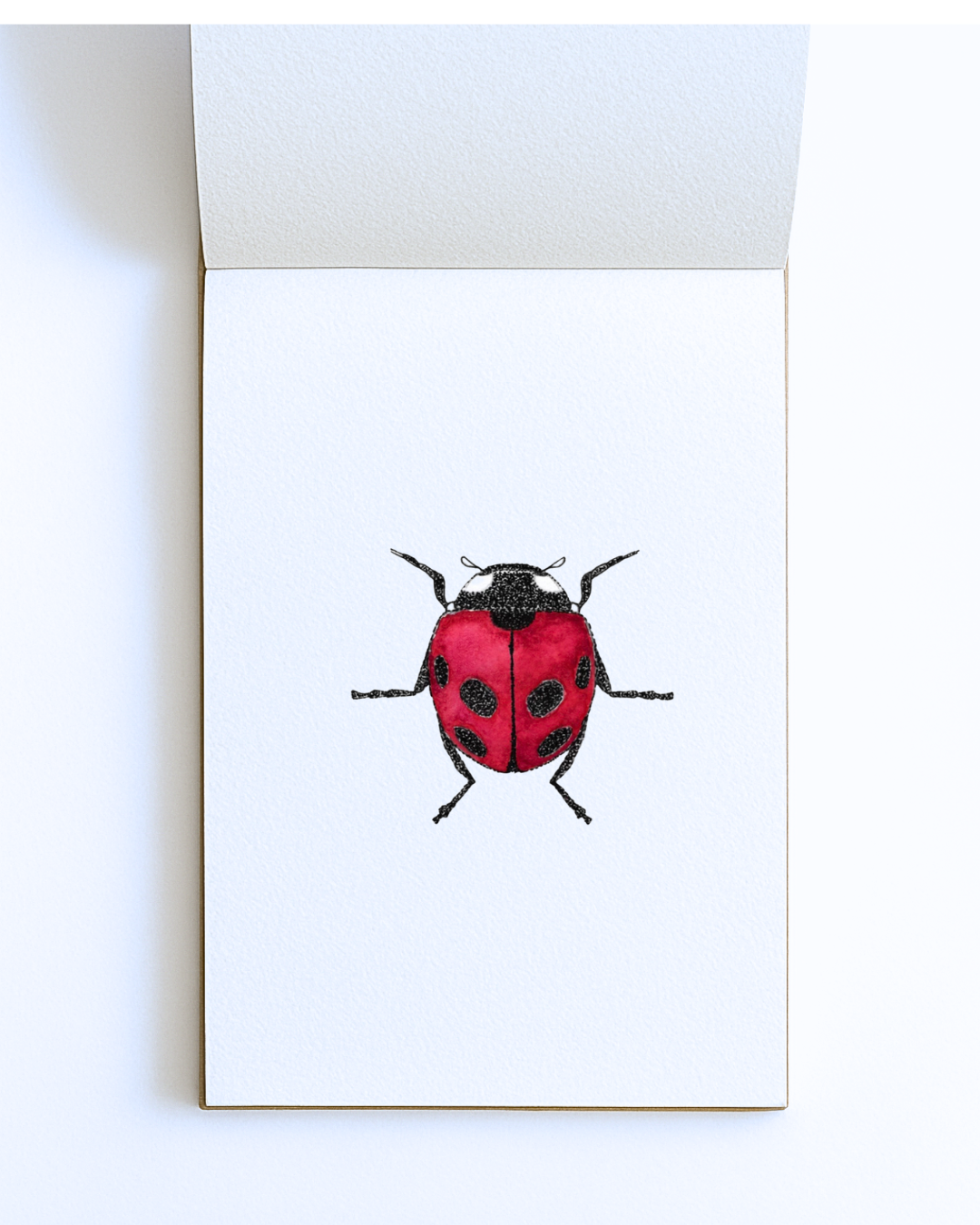 Ladybird Signed Print-A5