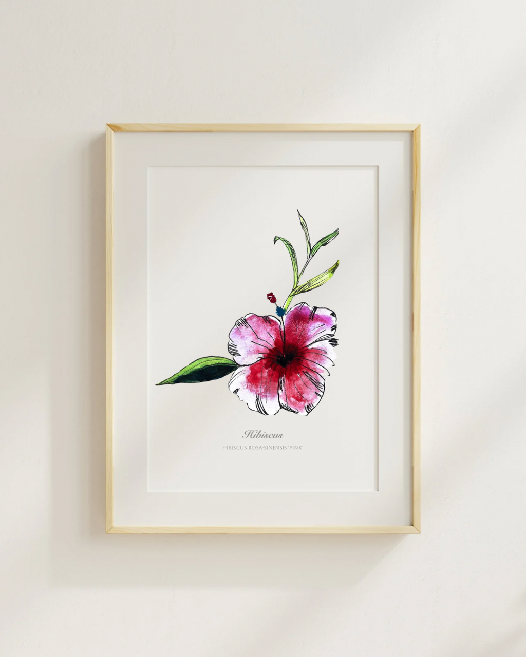 Pink Hiibiscus– Original A5 Print