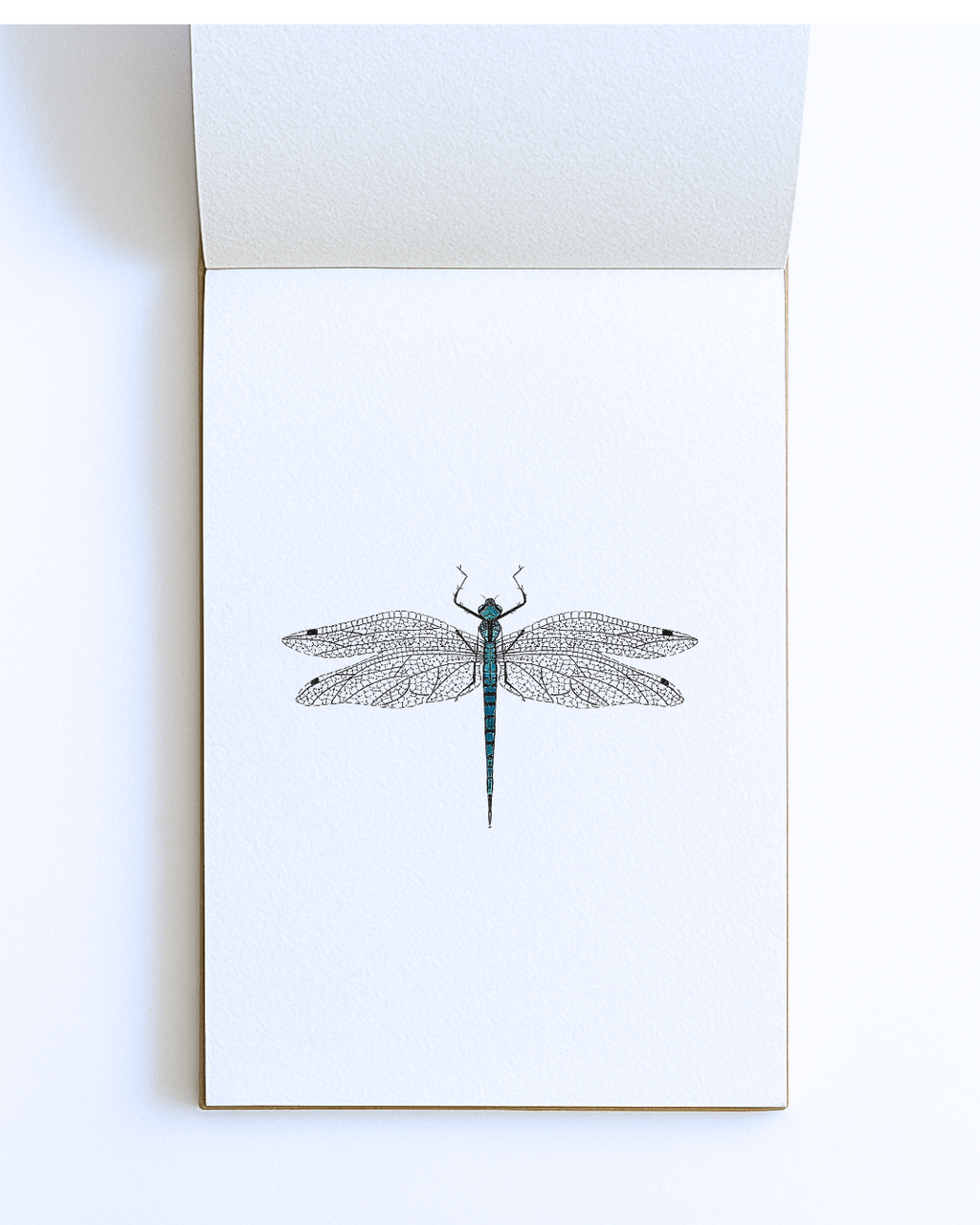 Dragonfly Signed Print-A5