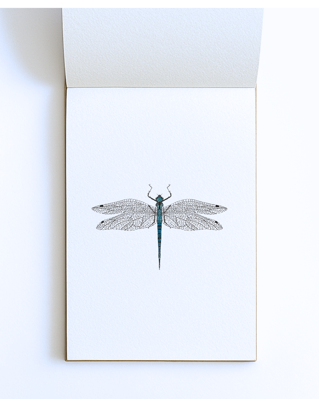 Dragonfly Signed Print-A5