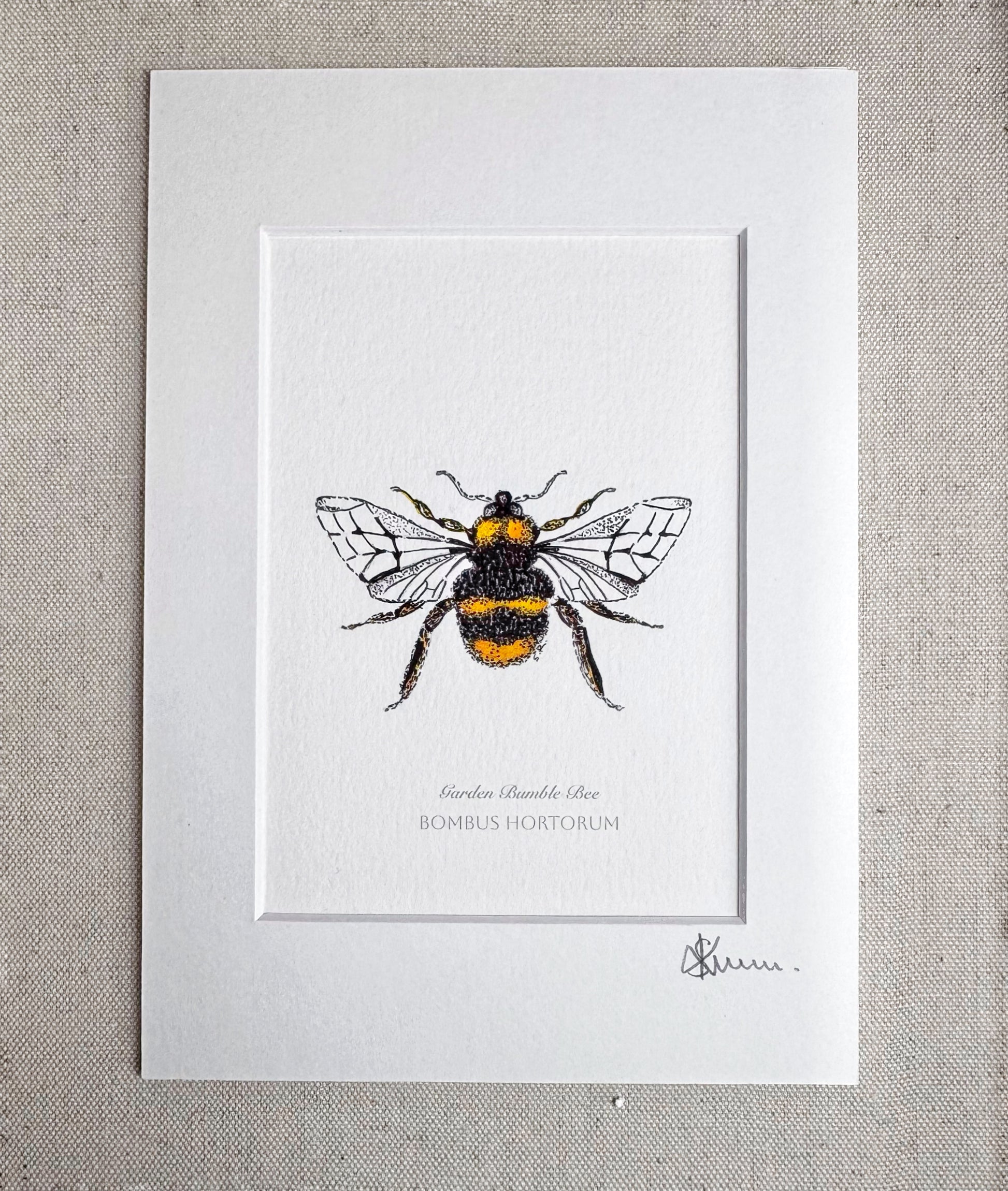Garden Bumble Bee Print-A5