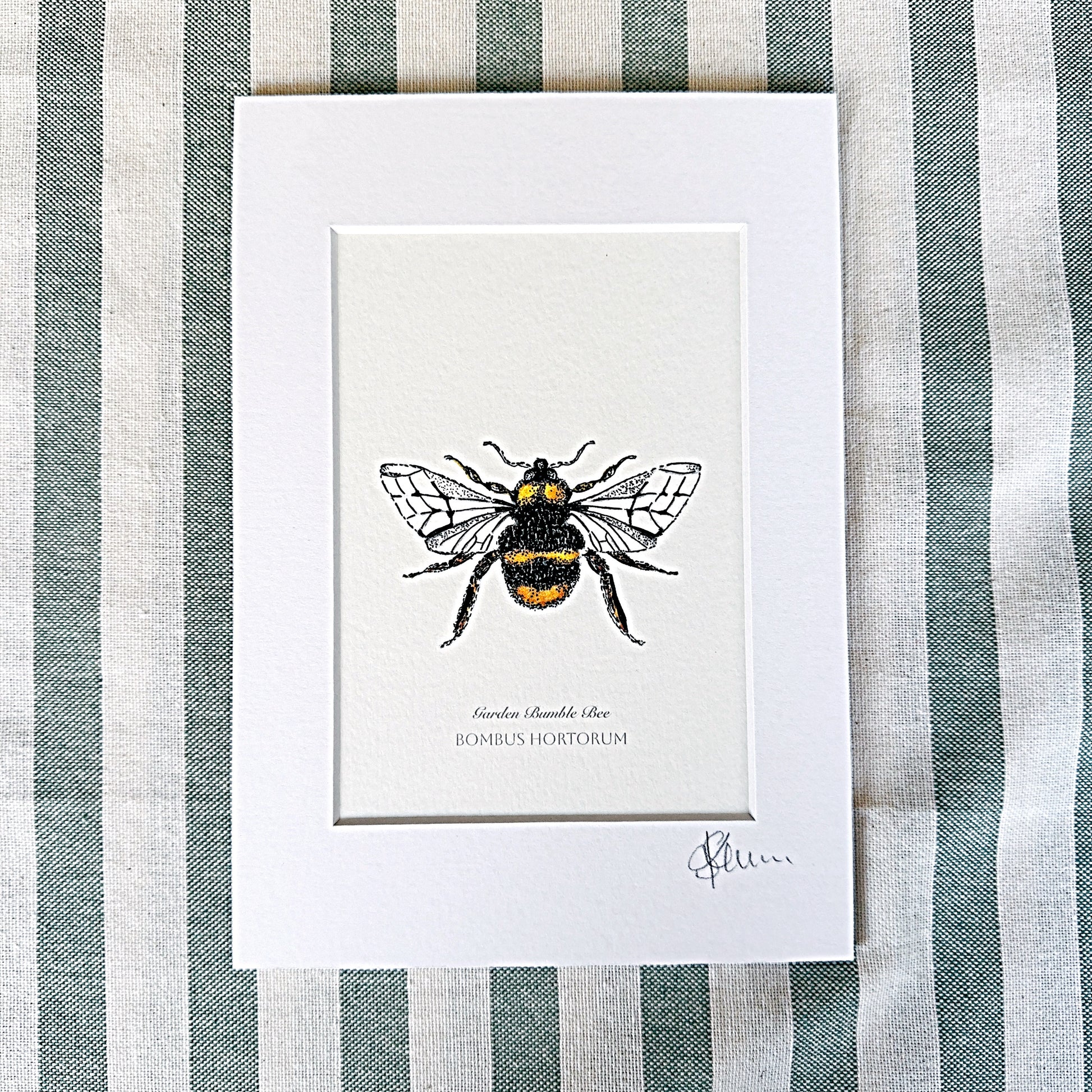 Garden Bumble Bee Print-A5