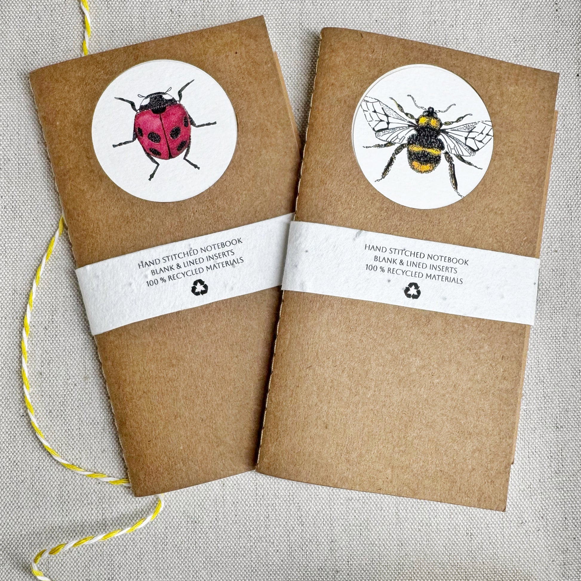 Insect Notebook Set